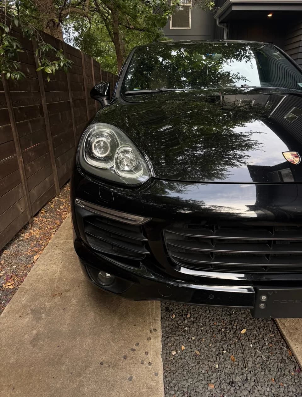 Black Porsche SUV with tree reflections across its hood
